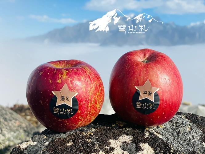 雪山礼 藏地苹果的甜蜜馈赠